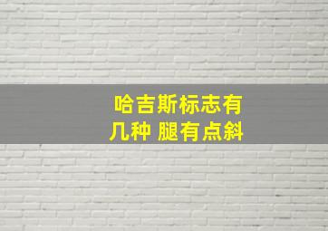 哈吉斯标志有几种 腿有点斜